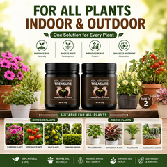 Soil Activated Treasure Premium Soil Activator 200gram (Pack of 2)