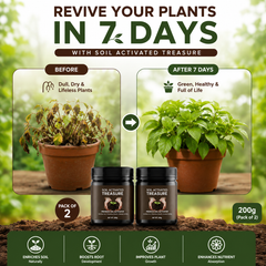 Soil Activated Treasure Premium Soil Activator 200gram (Pack of 2)